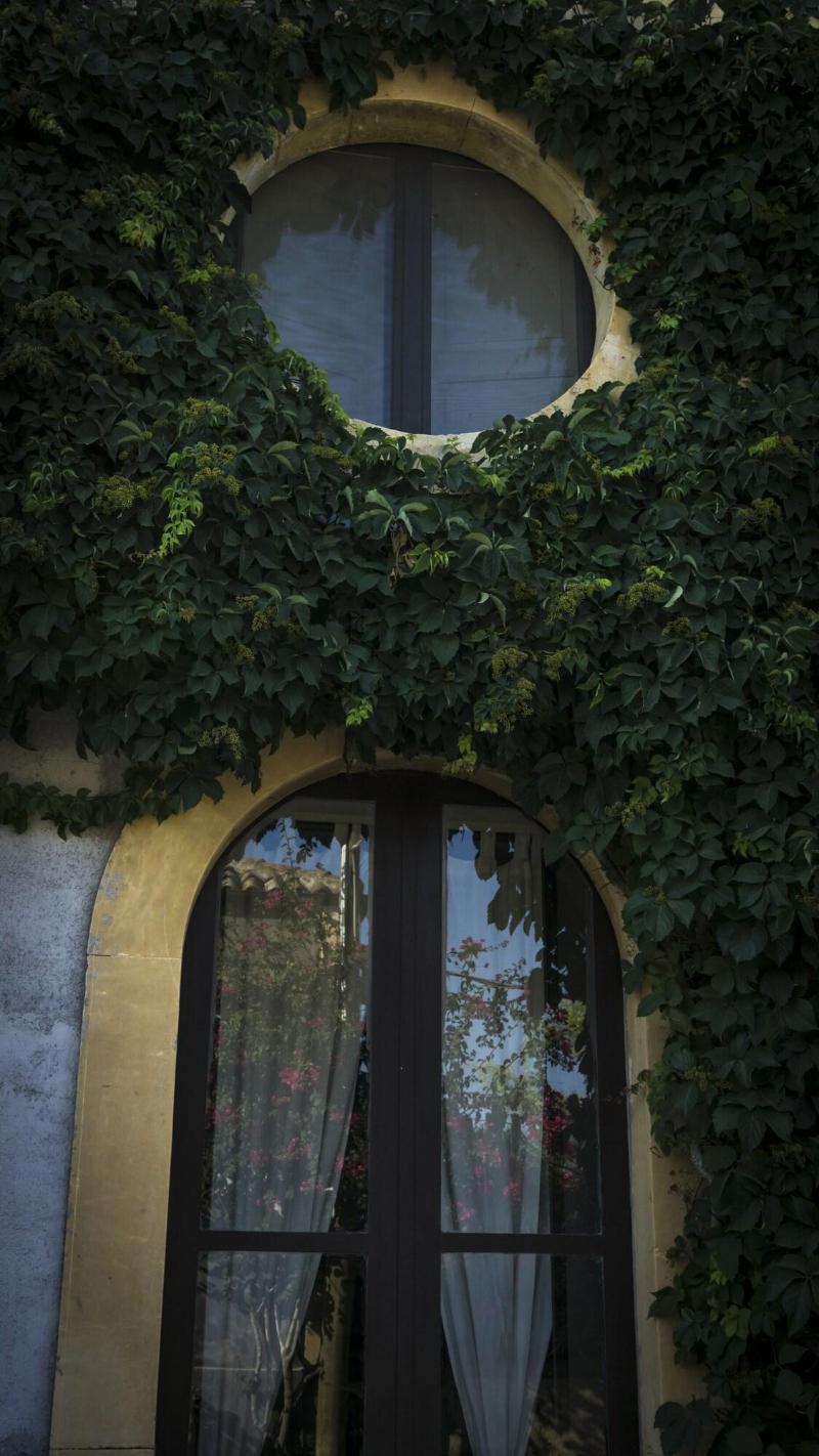 Tenuta Del Gelso - Genel