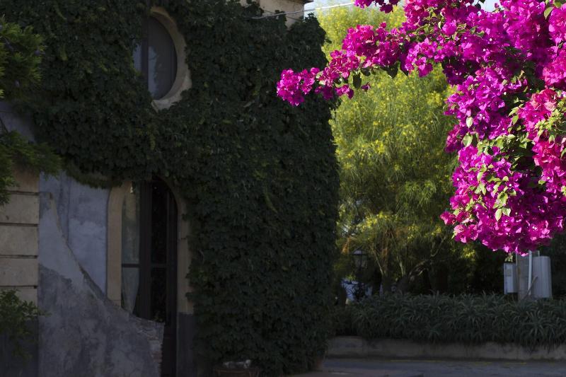 Tenuta Del Gelso - Oda