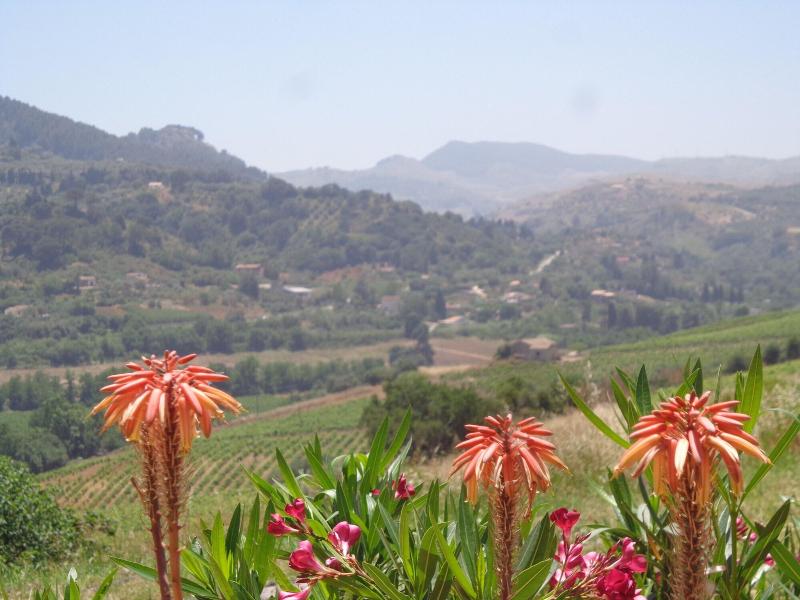 B&B Eden di Segesta - Genel