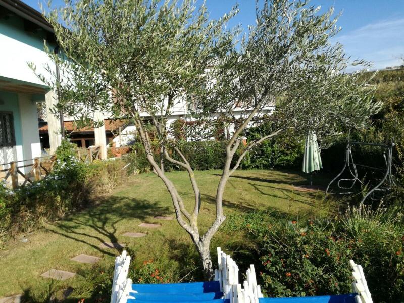 B&B Oasi al Mare - Genel