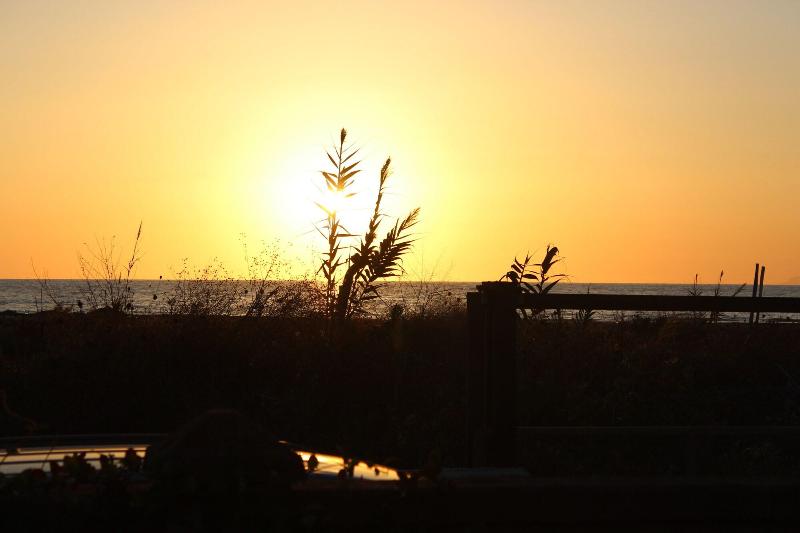 B&B Oasi al Mare - Genel