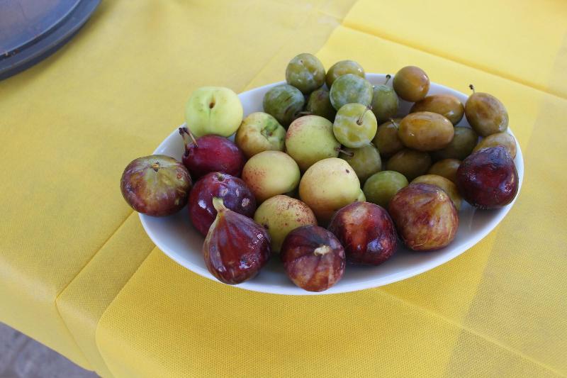 B&B Oasi al Mare - Restoran