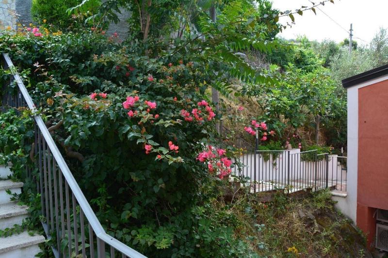 B&B La Casa Rossa - Genel