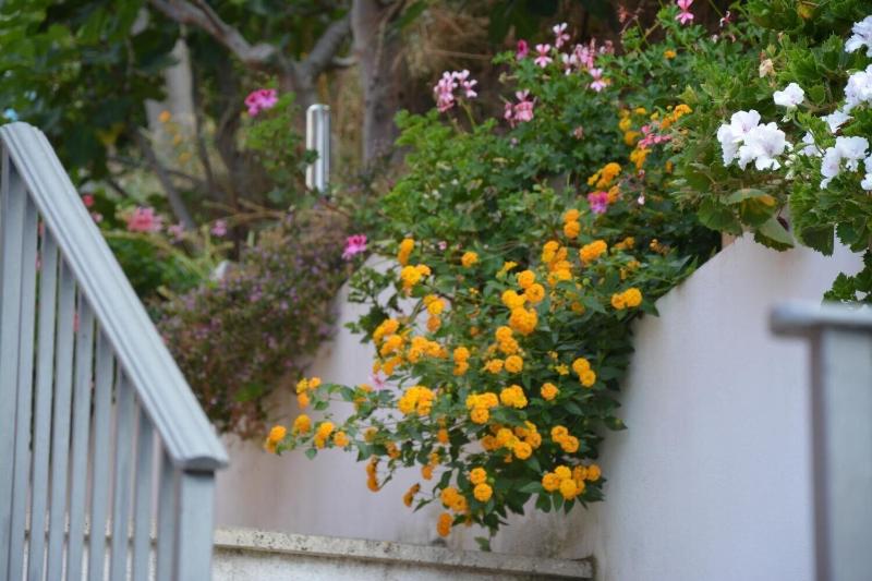 B&B La Casa Rossa - Genel