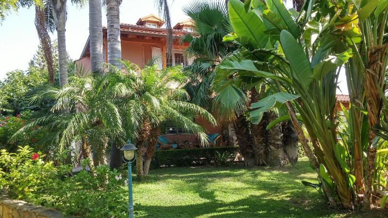 Il Giardino Delle Jacaranda - Genel