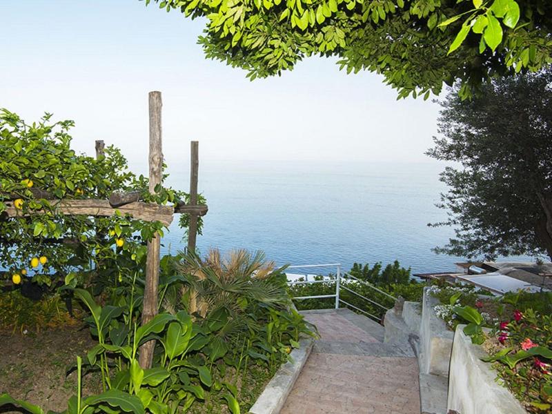 Villa Orleans - Genel