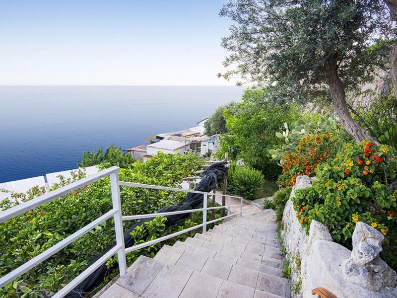 Villa Orleans - Genel