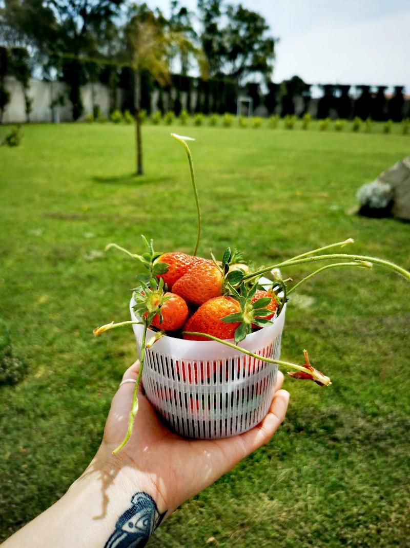 Bed And Breakfast Giardini Di Marzo - Genel