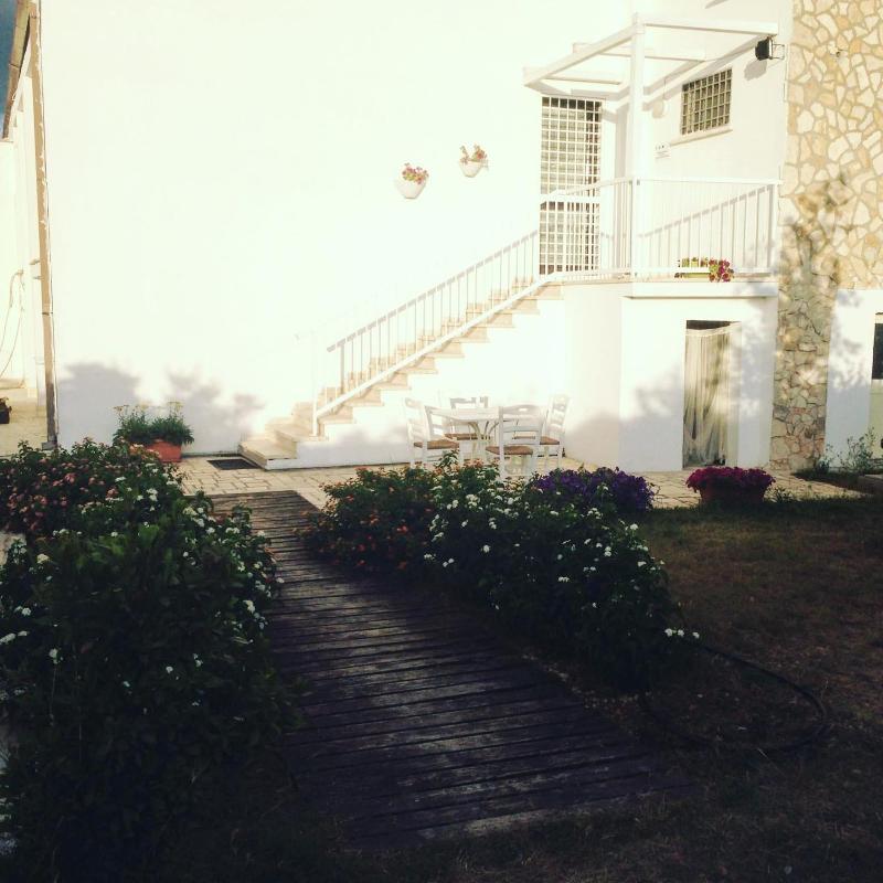 Mazzara Farm - Genel