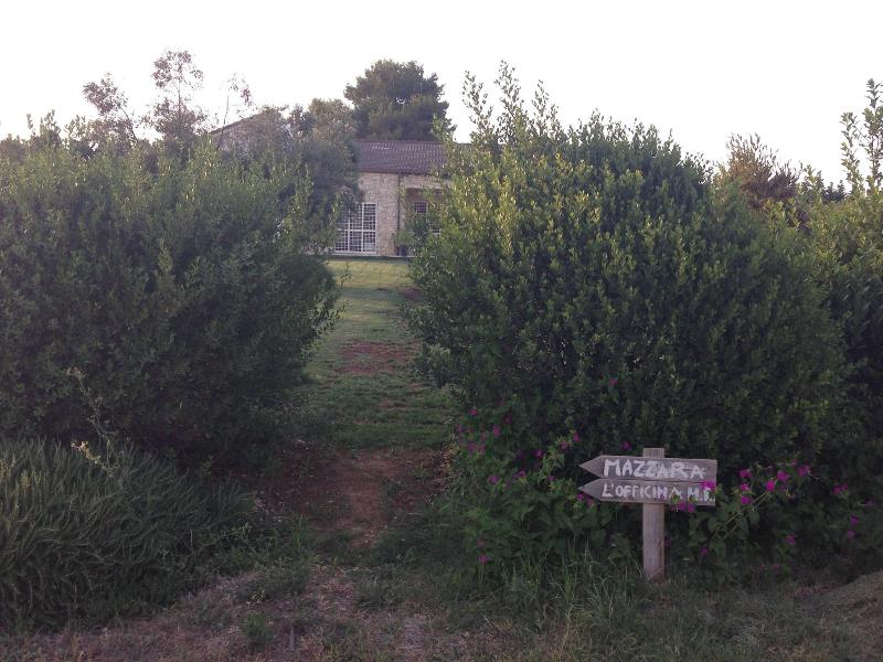 Mazzara Farm - Genel