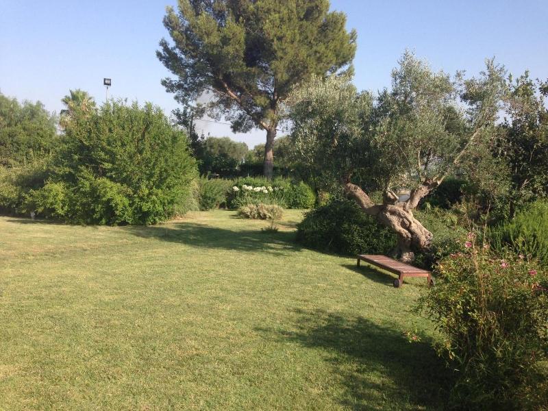 Mazzara Farm - Genel