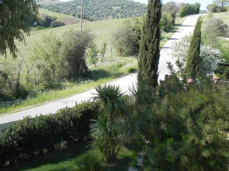 B&B Monte Di Bù - Genel