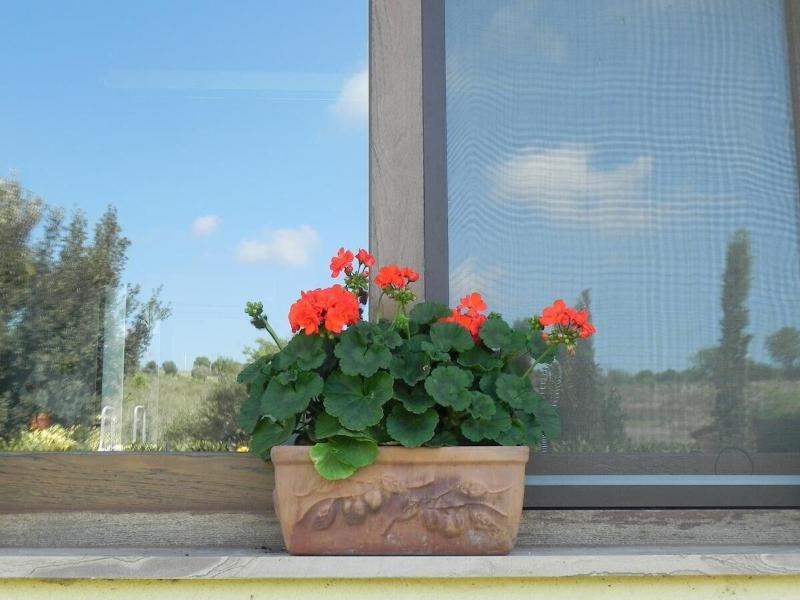 B&B Monte Di Bù - Genel