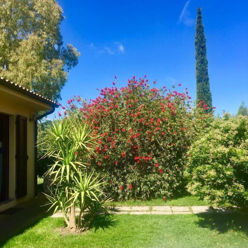B&B Monte Di Bù - Genel