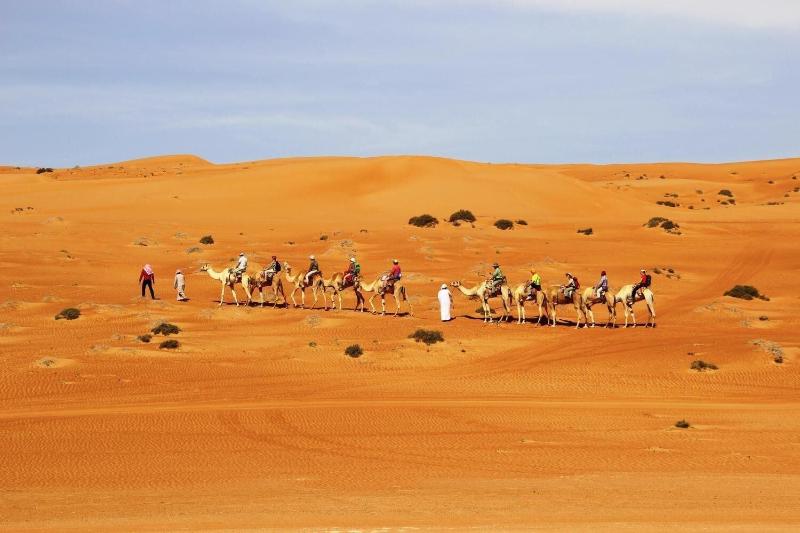 Sands Dream Tourism Camp - Genel