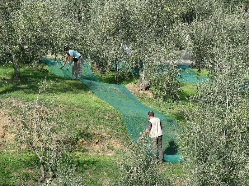 La Piana B&B - Aktivite