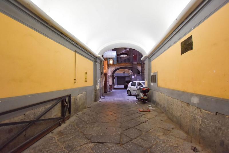 Domus Borbonica - Lobi