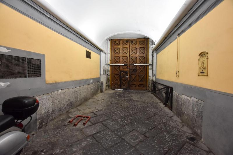 Domus Borbonica - Lobi