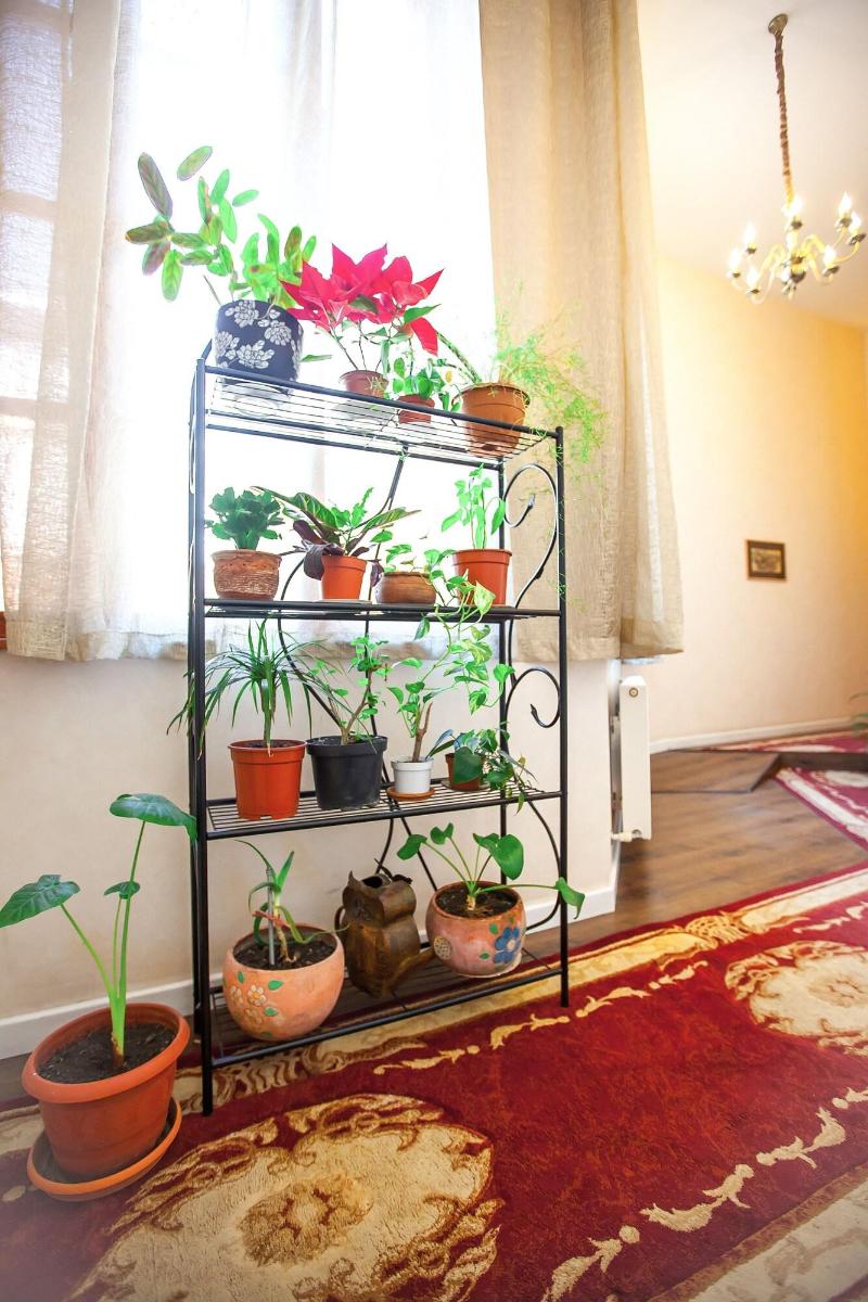 Hotel Rustaveli - Lobi