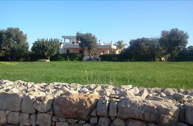 Villa Narducci - Genel