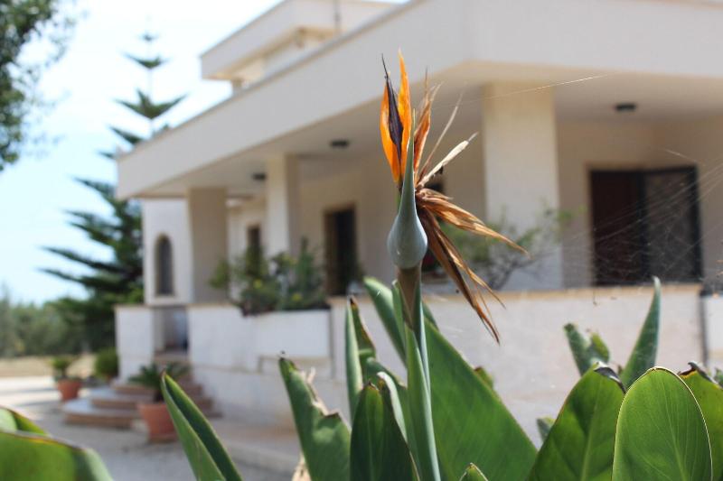 Villa Narducci - Genel