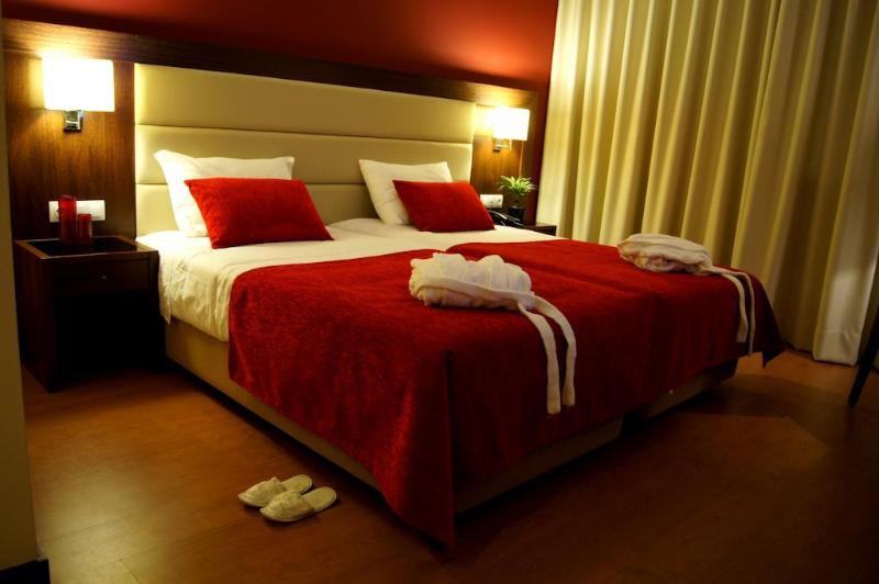 Palace Hotel & Spa Monte Rio Termas - Genel