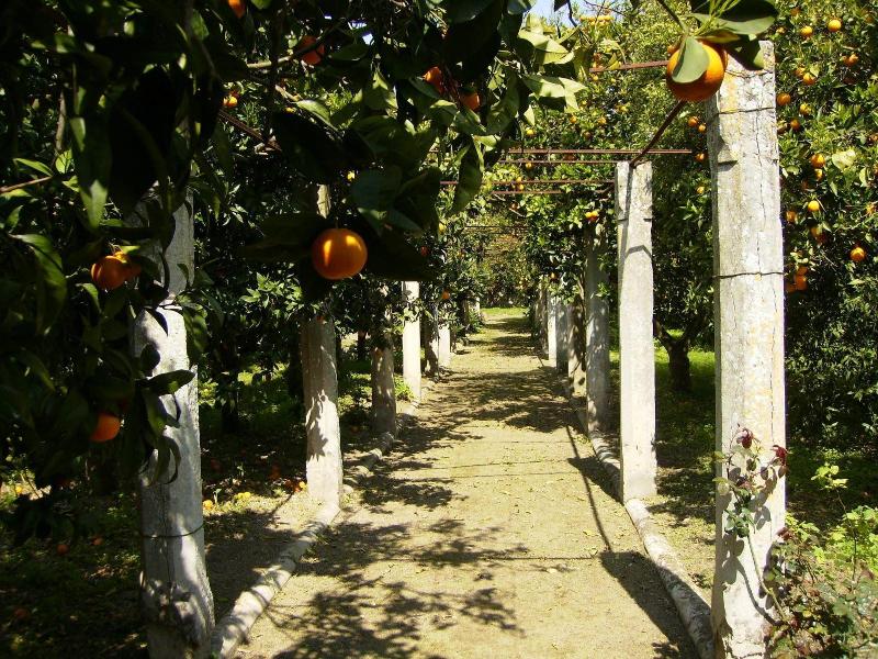 B&B Antico Aranceto - Genel