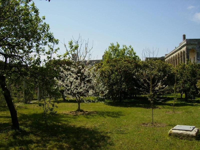 B&B Antico Aranceto - Genel
