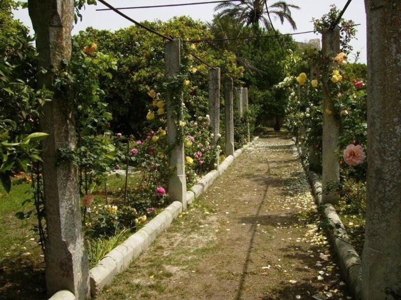 B&B Antico Aranceto - Genel