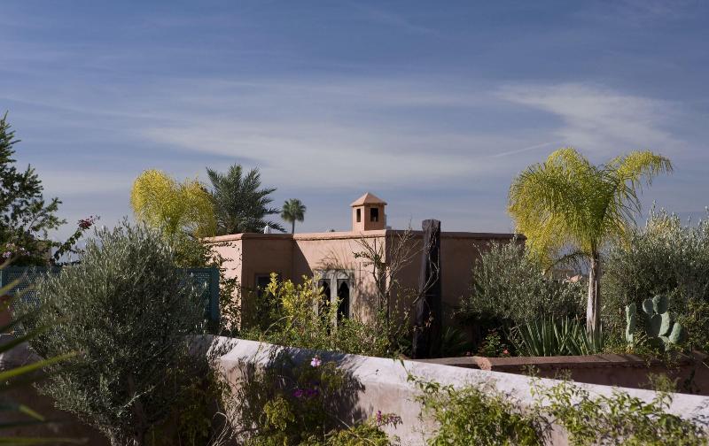 Dar Darma - Riad - Genel
