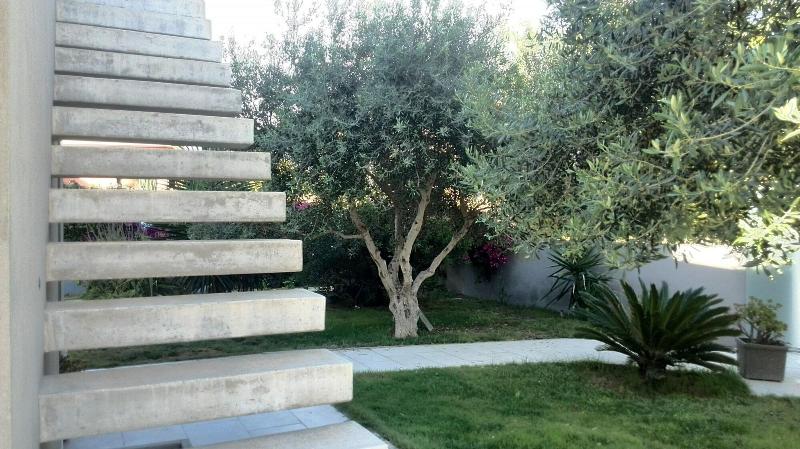 Art House Margine Rosso - Genel