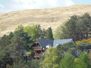 Treetops B&B fotoÄŸrafÄ±