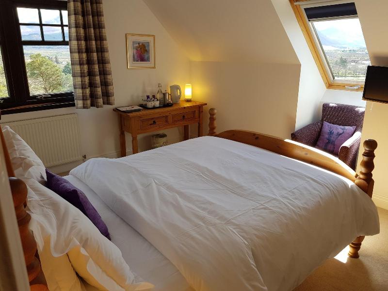 Treetops B&B - Oda