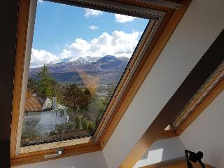 Treetops B&B fotoÄŸrafÄ±