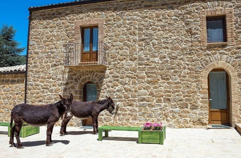 La Quercia e l'Asino - Genel