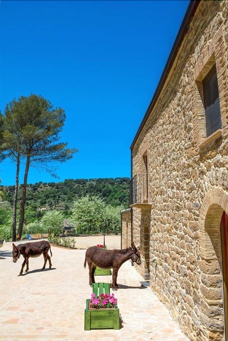 La Quercia e l'Asino - Genel