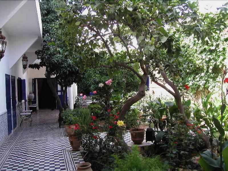 Riad M'haïta - Lobi