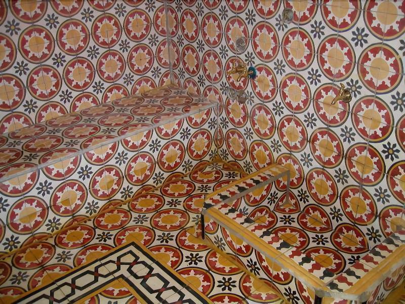Riad M'haïta - Aktivite