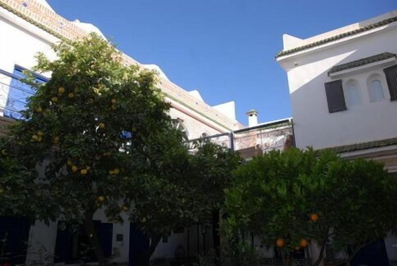 Riad M'haïta - Teras