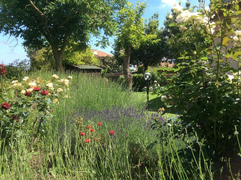 La Primavera B&B - Genel