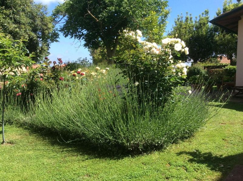 La Primavera B&B - Genel