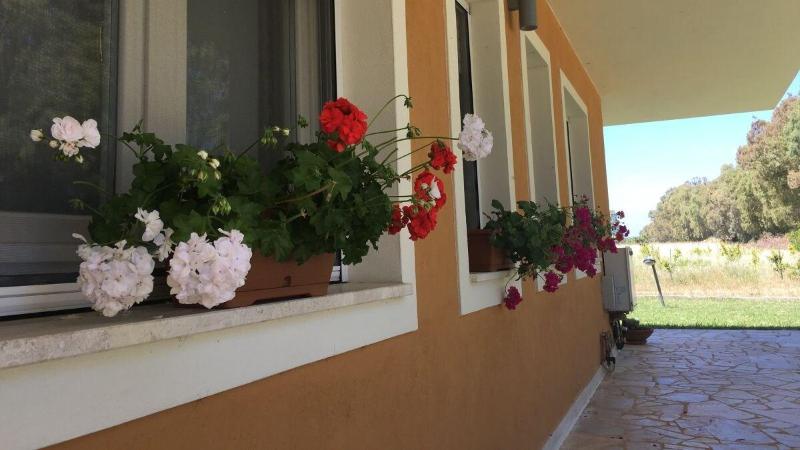 Villa Arzilla Sardegna - Genel