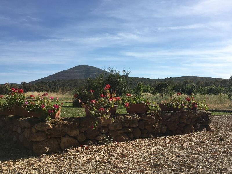 Villa Arzilla Sardegna - Genel