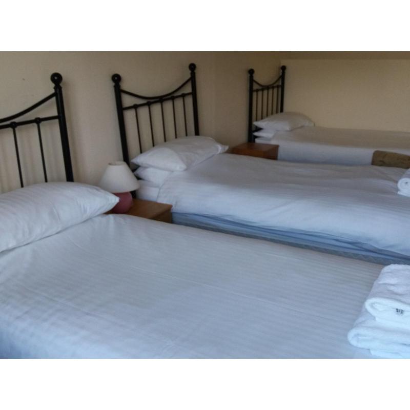 Waverley Bed & Breakfast - Oda
