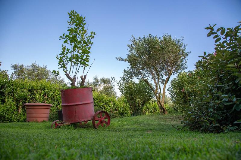 B&B Ellera Viterbo - Genel