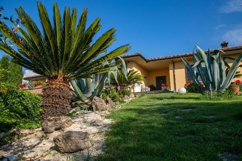 B&B Ellera Viterbo - Genel