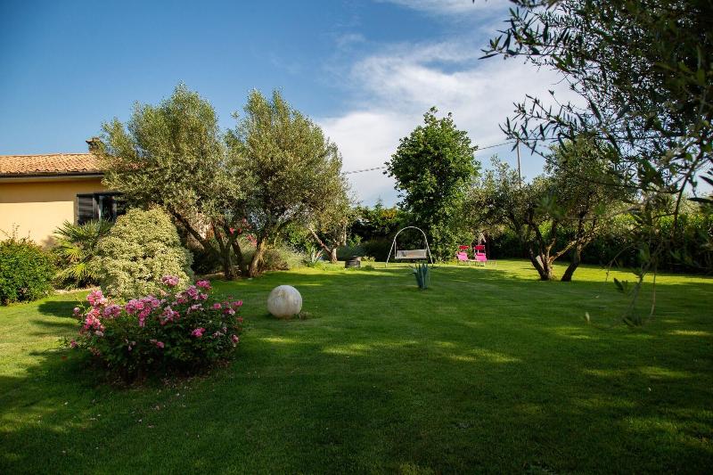 B&B Ellera Viterbo - Genel