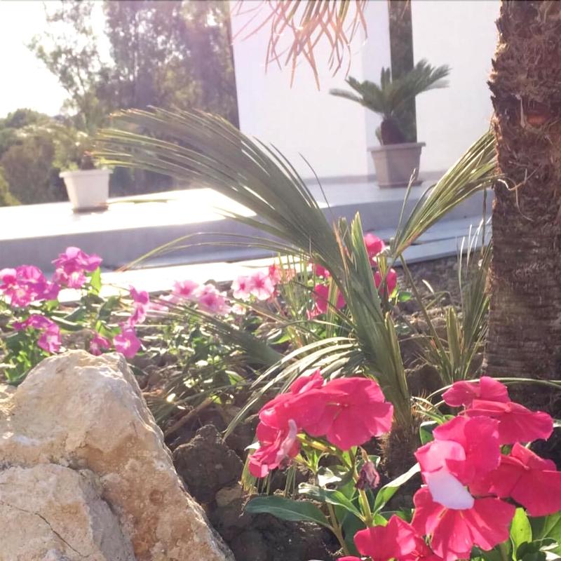 B&B Sorahnia Design House - Genel