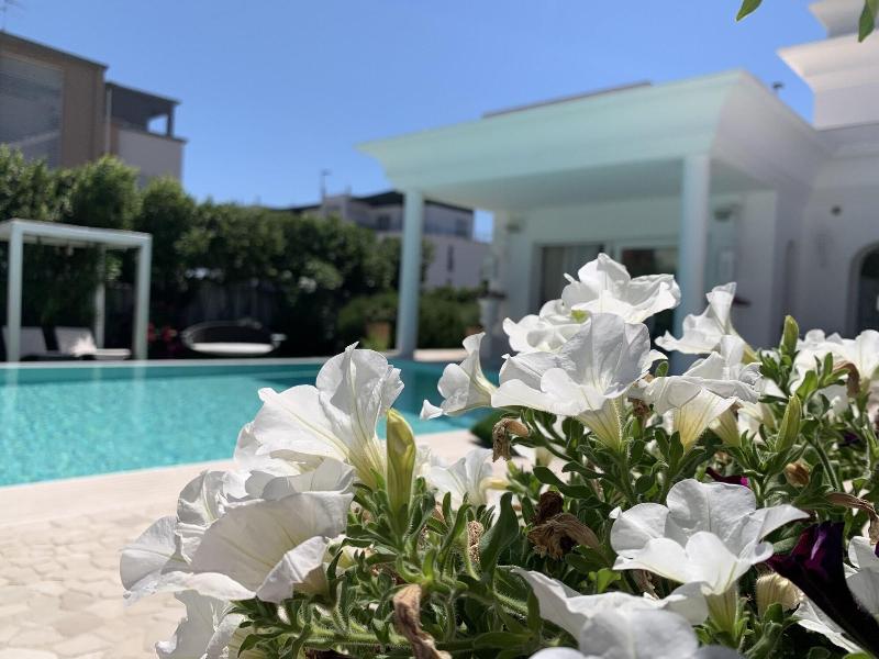 White House Luxury Hospitality - Genel