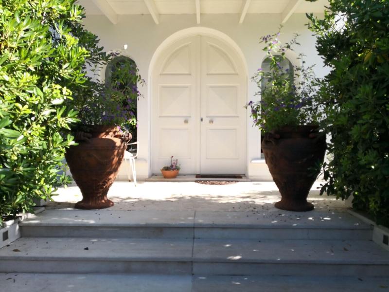 White House Luxury Hospitality - Genel